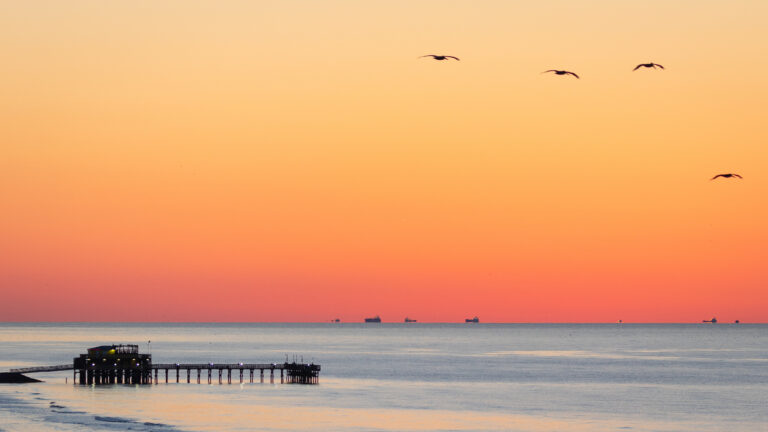 Texas Galveston Island